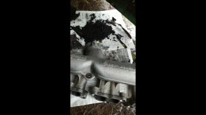 Масло в антифризе Volkswagen Touareg GP 2.5 BAC