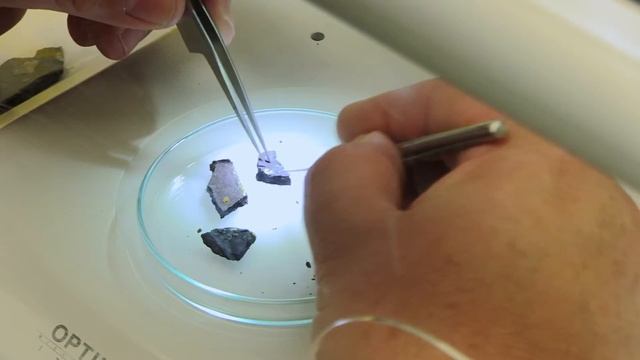 Asbestos Survey, Testing, Sampling and Analysis by Enviraz Surveys Ltd Glasgow, UK смотреть онлайн