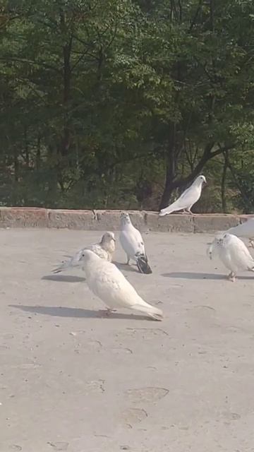 October 28, 2023 смотреть онлайн