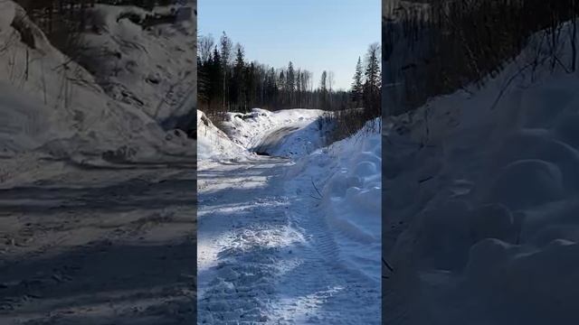 Зимник