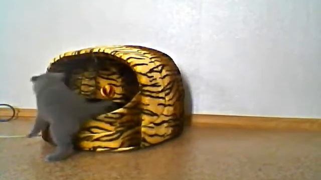 Пиксель смотреть онлайн