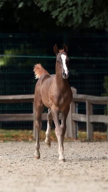 3 августа 2024 г. смотреть онлайн