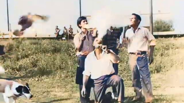 color-document_5427282973449811663