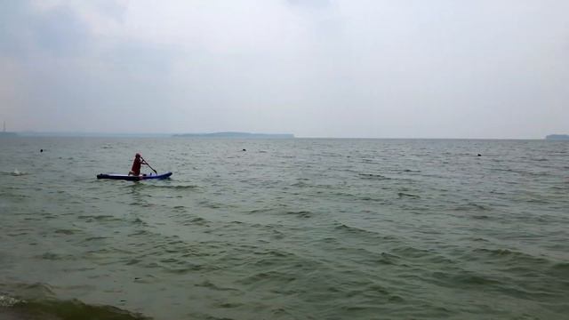 Последние дни. Два медведя. Новосибирск. Омск. смотреть онлайн