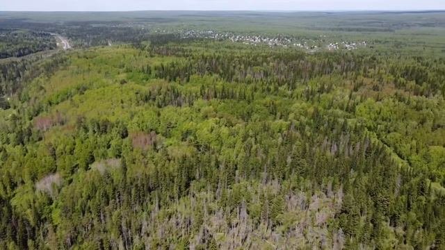 г. Красноярск, станция Лесная