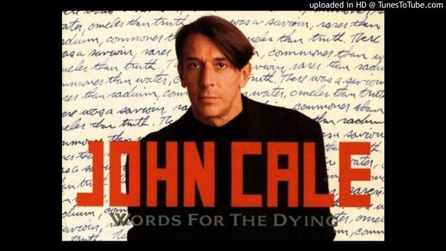 John Cale - Do Not Go Gentle Into That Good Night смотреть онлайн