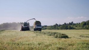 Уборка и измельчение комбикорма. Ростсельмаш RSM 1401, КАМАЗ, Кировец.