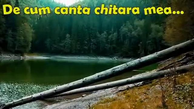 Nicoleta Iubu - Eu eram Ea ( Versuri: Catana Cristian-Alexandru) смотреть онлайн