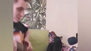 Приколы С Животными 74