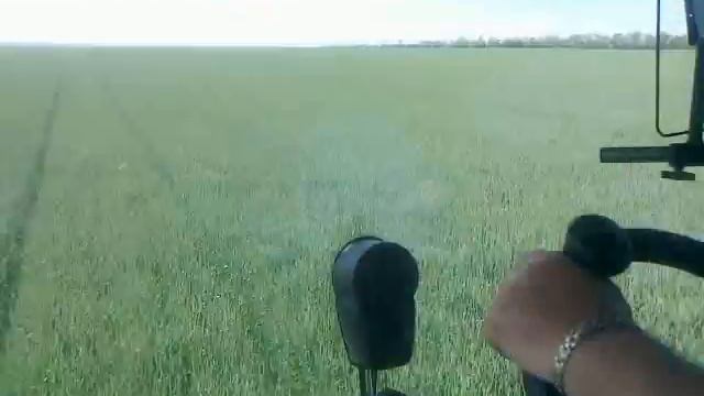 пантера кочубеевский р н