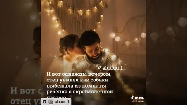 Хозяин застрелил собаку😱😱😱😨😨😨 смотреть онлайн