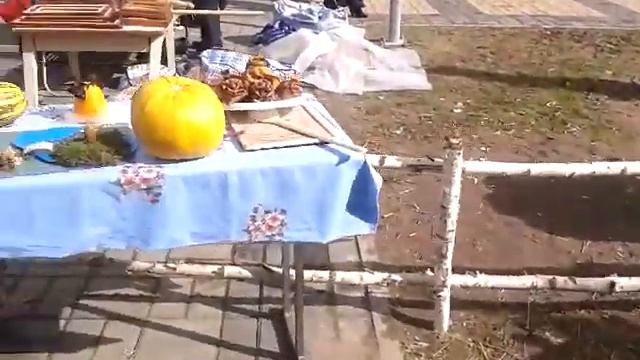 Дажынкi-2013. г. Жлобин. Собака охраняет Уточек. смотреть онлайн