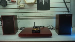 Douk Audio X1 бутафорский ламповый усилитель!