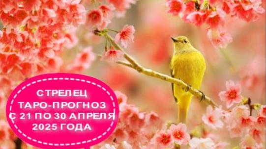 СТРЕЛЕЦ ТАРО-ПРОГНОЗ С 21 ПО 30 АПРЕЛЯ 2025 ГОДА