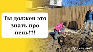 Даченька #71 Каждый должен знать что делать с пнем!