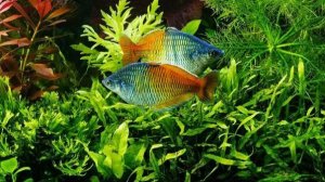 FILE 2025-04-17 12:33:23