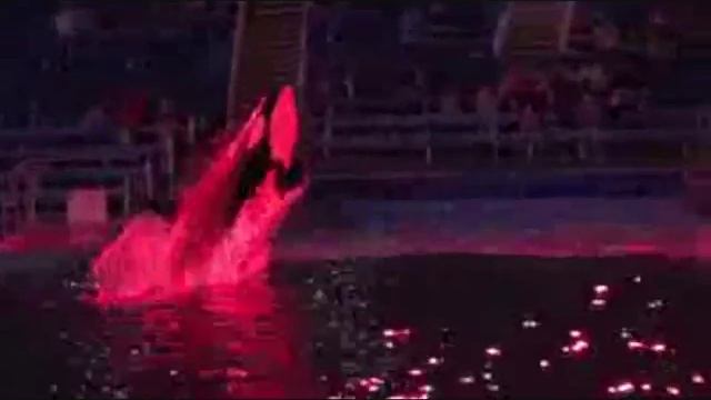 Orca смотреть онлайн