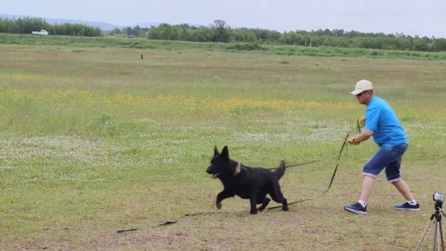 MVI 8060 смотреть онлайн