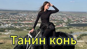 "ТАНИН КОНЬ" - клип в память о МотоТане