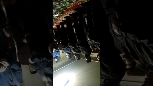 Зукар гелдиген☝️ смотреть онлайн