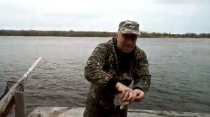 Ловля Карася на Дону