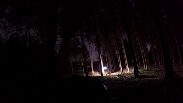 Snugpak scorpion 3 tent . woodland wildcamping night lapse 18th Jan 2022 смотреть онлайн