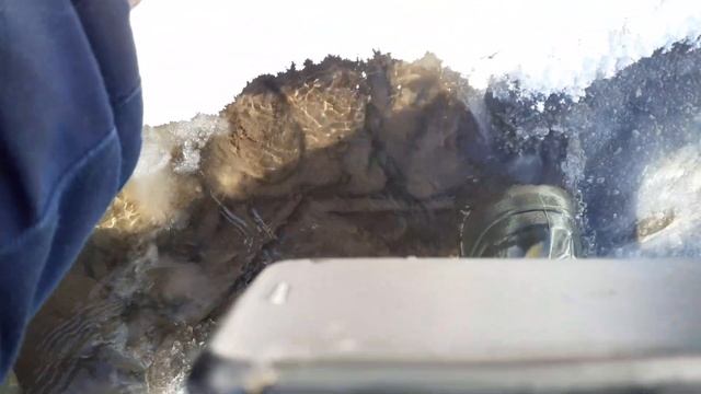 Как добывают насадку для ловли зимой хариуса. смотреть онлайн