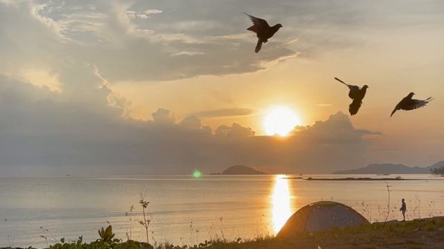 Camping dipantai Monano #beachvibes #pantai #gorut #sunrise #monano