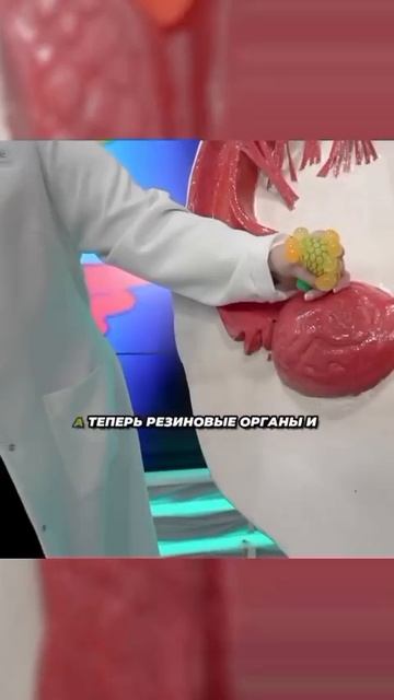 Наша действительность