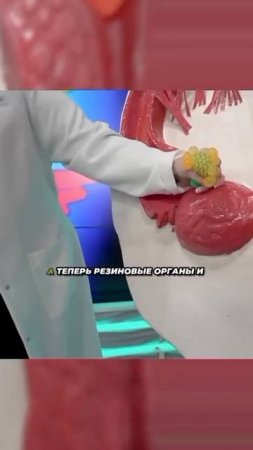 Наша действительность