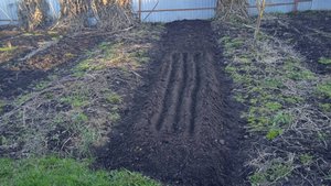 15.4.25г. Сею Лук БАТУН И УКРОП из своих СЕМЯН!!!  Смешанная ПОСАДКА!!!