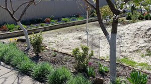 17.04. Уборка...То ли дружба то ли...