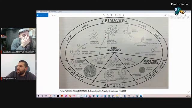 La cerca del TARTUFO conoscerlo per trovarlo. смотреть онлайн