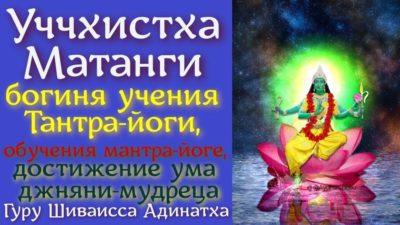 Уччхистха Матанги - богиня учения Тантра-йоги, обучения мантра-йоге, достижение ума джняни-мудреца.