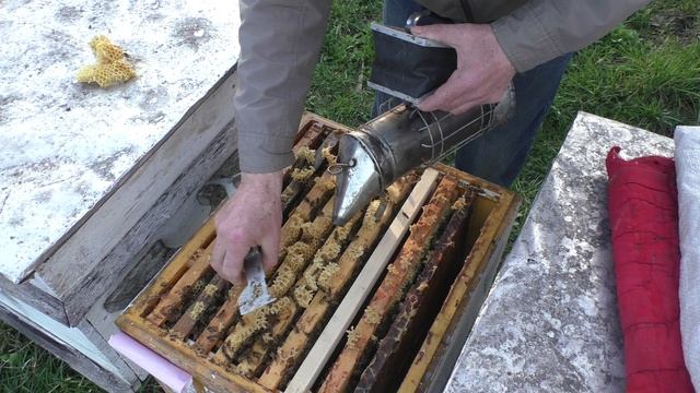 ВОЩИНА или СУШЬ чем расширять ПЧЁЛИНЫЕ СЕМЬИ в апреле смотреть онлайн