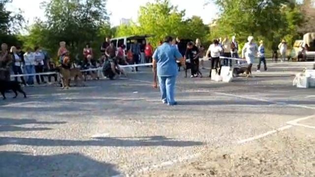 БЕСТ ЮНИОРОВ смотреть онлайн