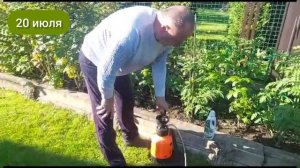 У нас не бывает фитофторы! Обрабатываем томаты органикой. Древесный уксус.