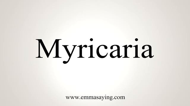 How To Say Myricaria смотреть онлайн