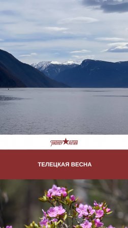 Почему Телецкое в мае должен увидеть каждый?