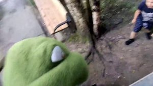 ЧЕРЕПУХУС НА ПРОГУЛКЕ 5! РЫЖИК ЧУТЬ ЕГО НЕ СЪЕЛ!