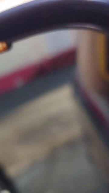 Галиция шестнадцатипятнистая , божья коровка желтая с белыми пятнами, в детстве звали -ВасяВаселек😁 смотреть онлайн