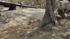 Остров Мумбаи Elephanta Caves Mumbai Индия 2025 апрель