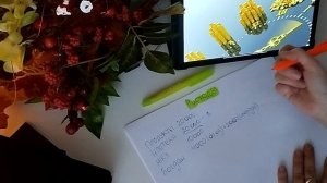 РАСПРЕДЕЛЕНИЕ БЮДЖЕТА. РАСХОДЫ В МНОГОДЕТНОЙ СЕМЬЕ. СИСТЕМА КОНВЕРТОВ _ Жизнь после хрущевки _ Д