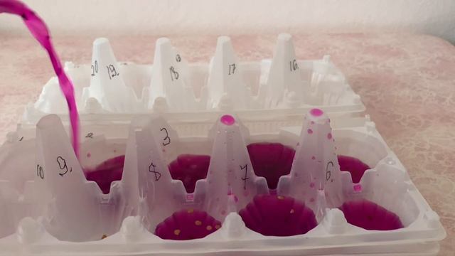 Посев Томатов. #замачиваем#сеем#томаты# смотреть онлайн