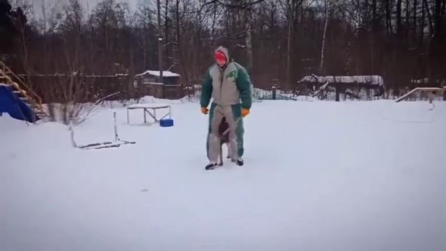 АЛЕКСТЭР ХОФ АСАД АЛВАРО,конвой мондьоринг. смотреть онлайн