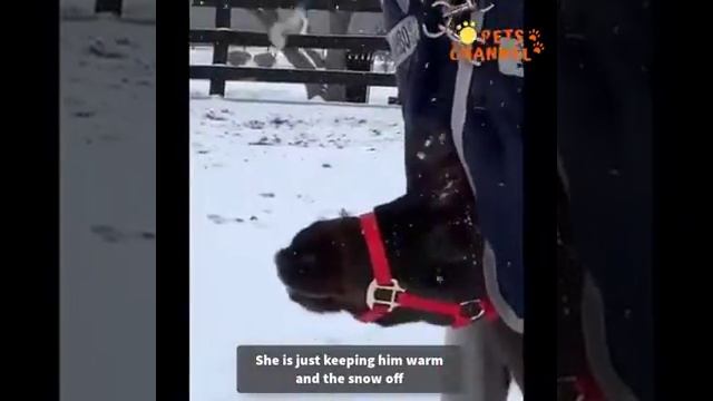 28 декабря 2020 г.