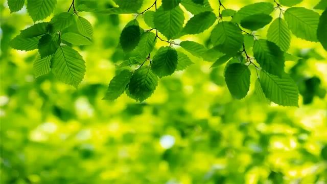 Можно ли победить онкологию?