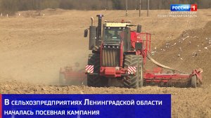 В сельхозпредприятиях Ленинградской области началась посевная кампания