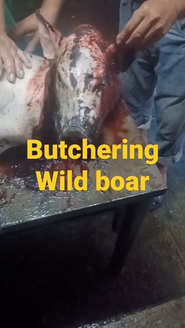 BUTCHERING WILD BOAR