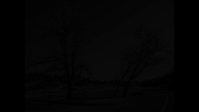 🌱Bonsai Inspiration From Nature 🌳 Mature Trees in Nature смотреть онлайн